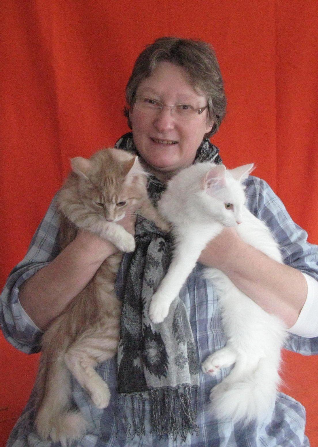 Norsk Skovkat DK Emilline´s Athene R.I.P 10/04/21 billede 15