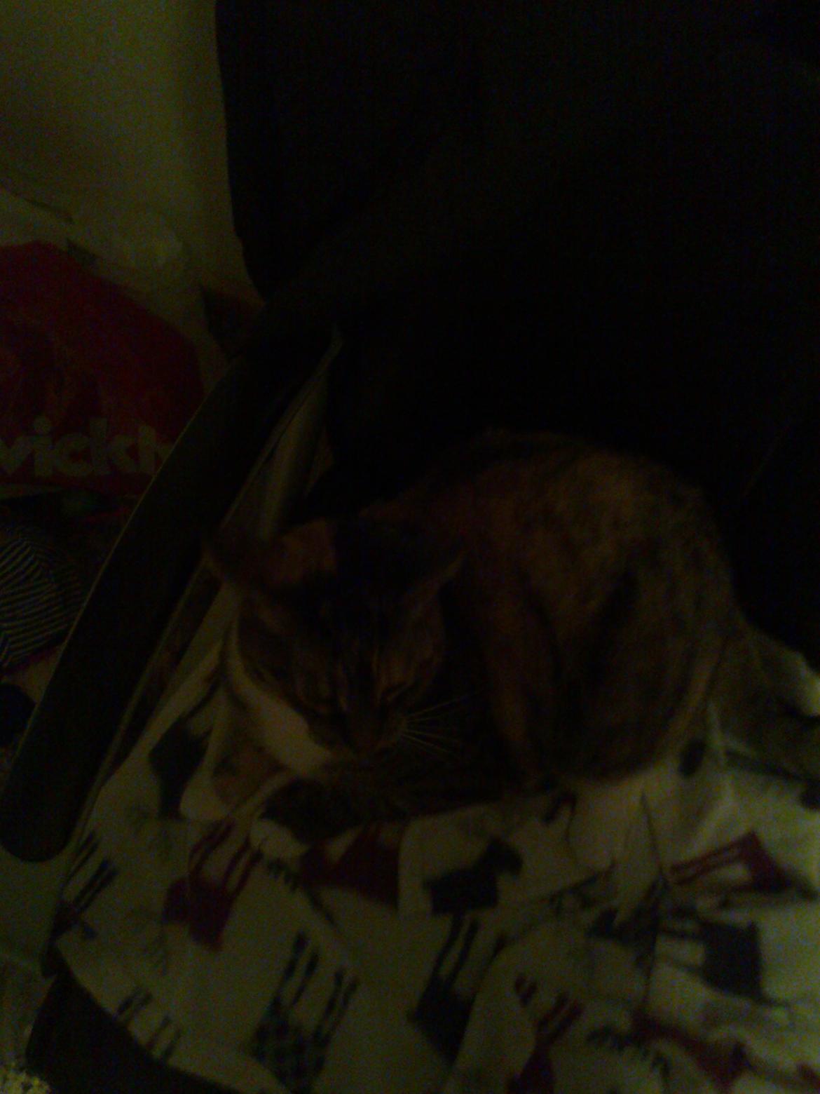 Huskat freja billede 16