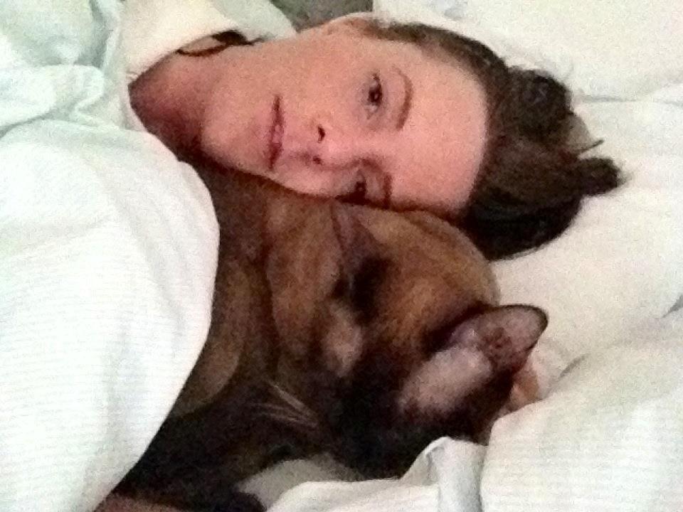 Burmeser Fieldstones Magija billede 6