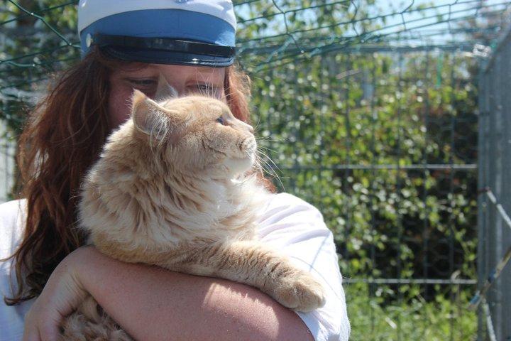 Maine Coon Louie - Et billede af Louise og mig, da jeg blev student :) billede 4