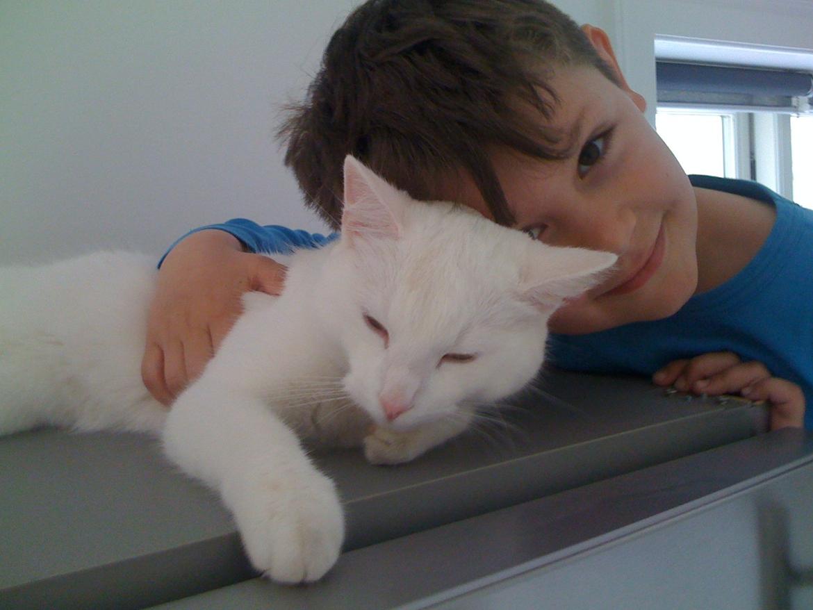 Blanding af racer Rikke billede 2