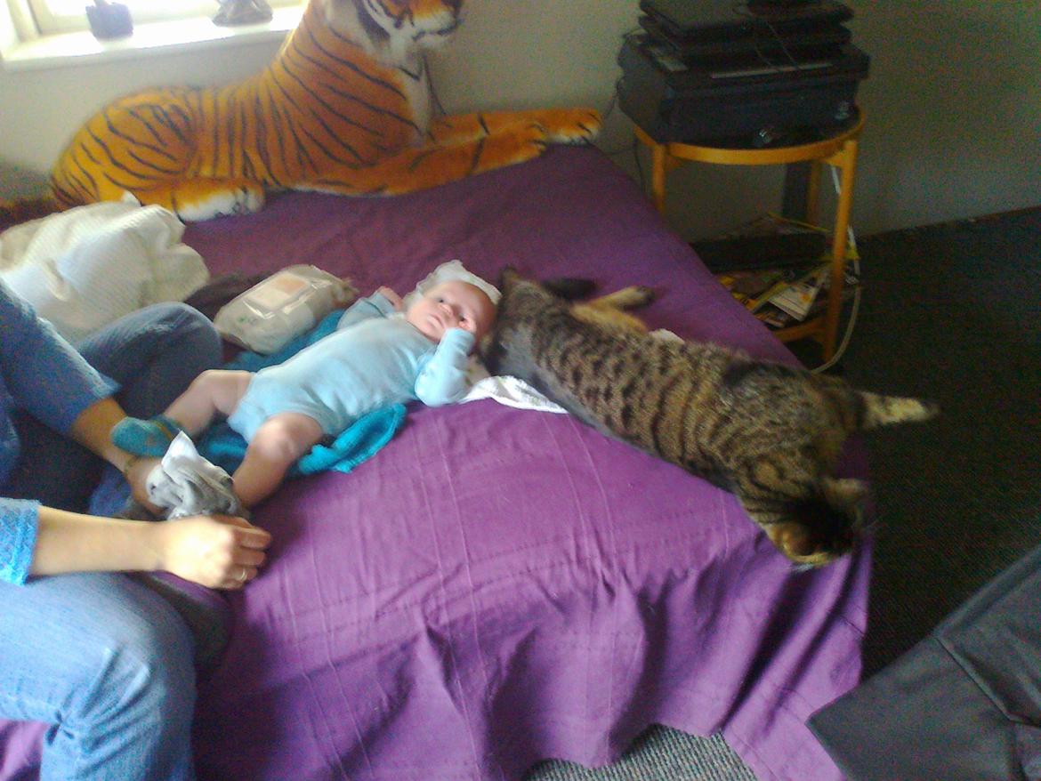 Blanding af racer Bounty - Bounty passer baby... <3 billede 2