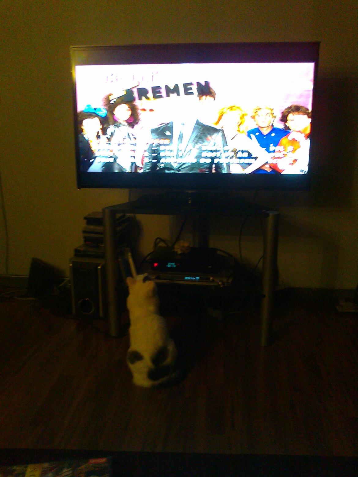 Blanding af racer Motor - Motor ser Live fra Bremen:)  billede 6