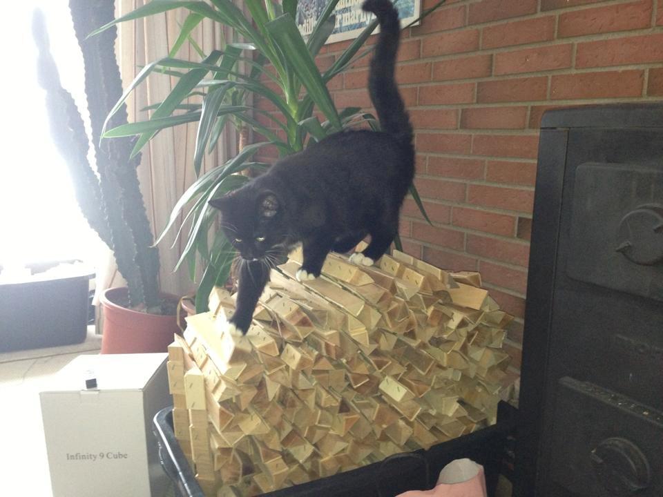 Huskat Tom billede 4