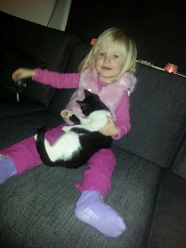 Blanding af racer Diva billede 10