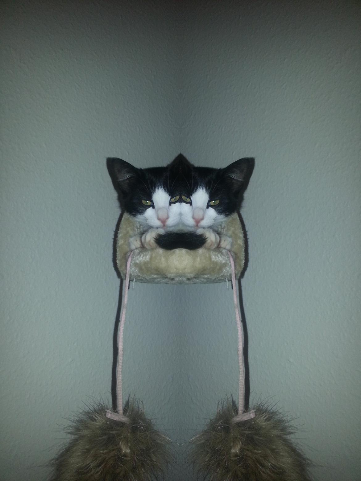 Blanding af racer Diva billede 4