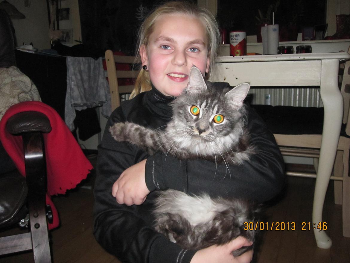 Maine Coon Star - mig og min mor hun passer godt på mig <3 billede 13