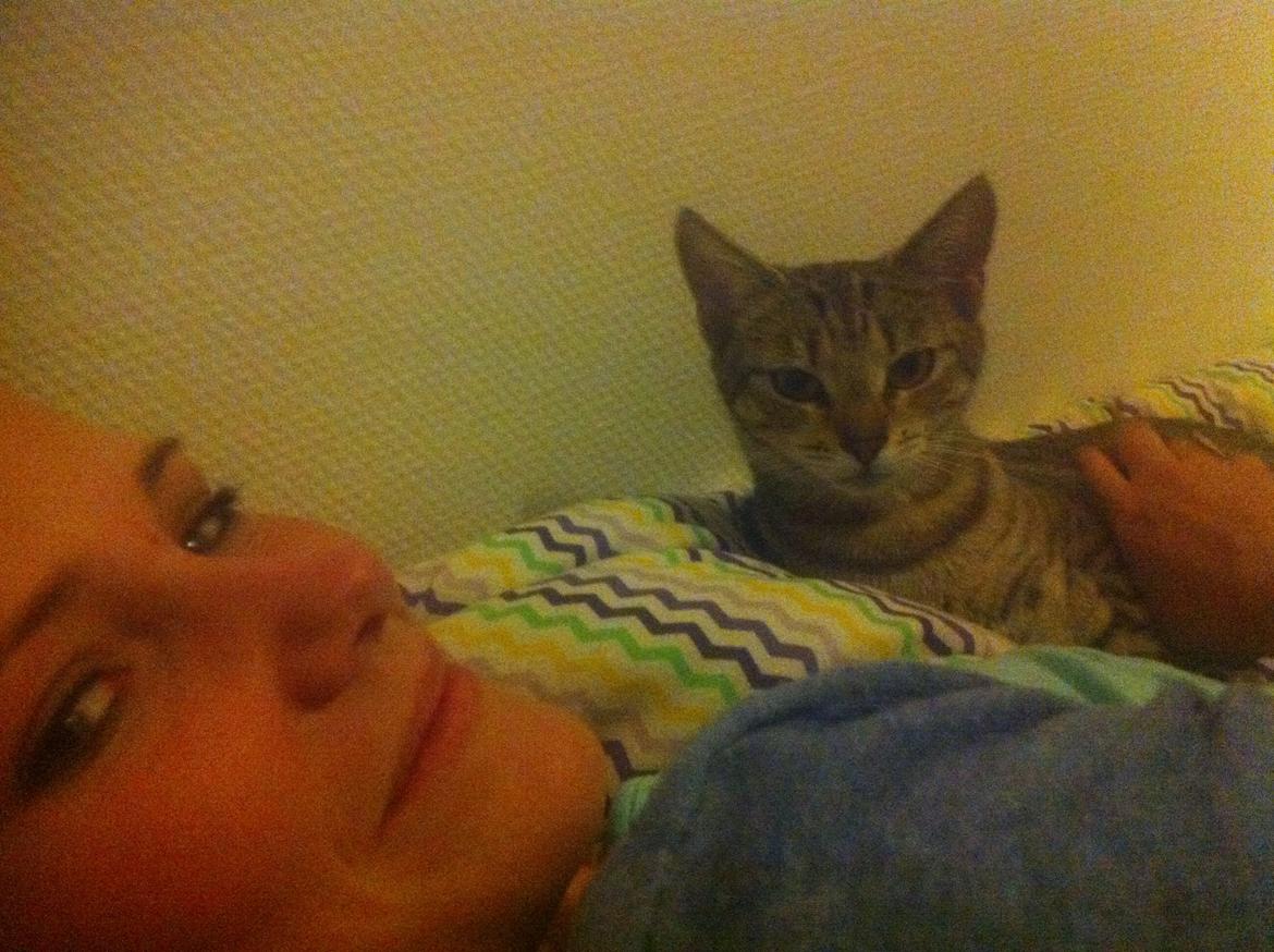 Huskat Alma billede 18