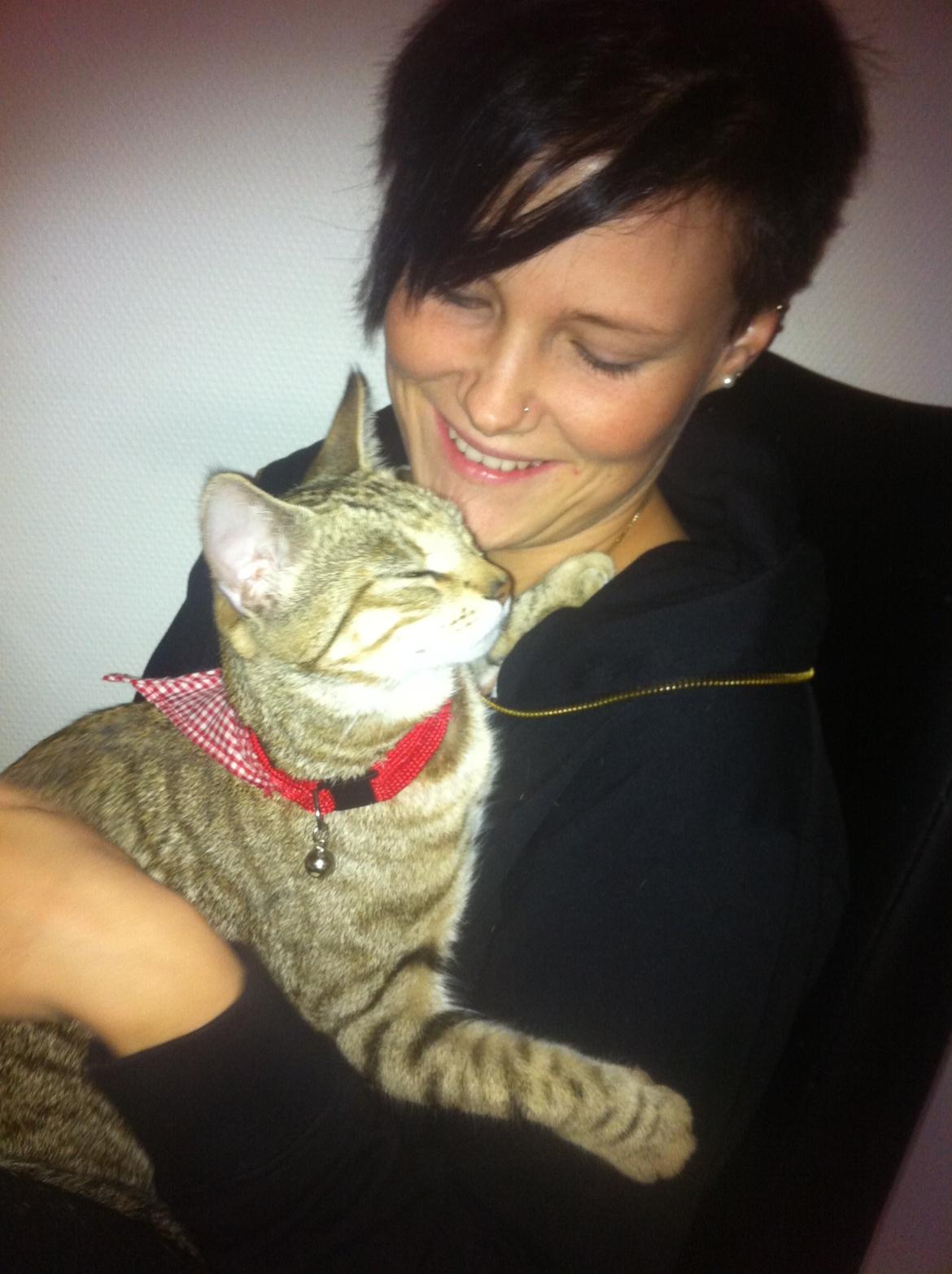 Huskat Alma - Her er hun lige blevet gravid (:
 billede 19