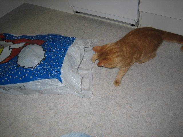 Huskat Frede - Frede hjælper med julegaverne.. billede 5