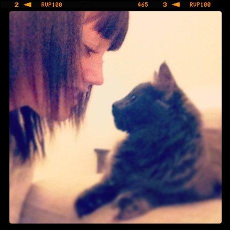 Blanding af racer Cleo billede 19