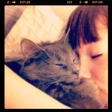 Blanding af racer Cleo billede 20