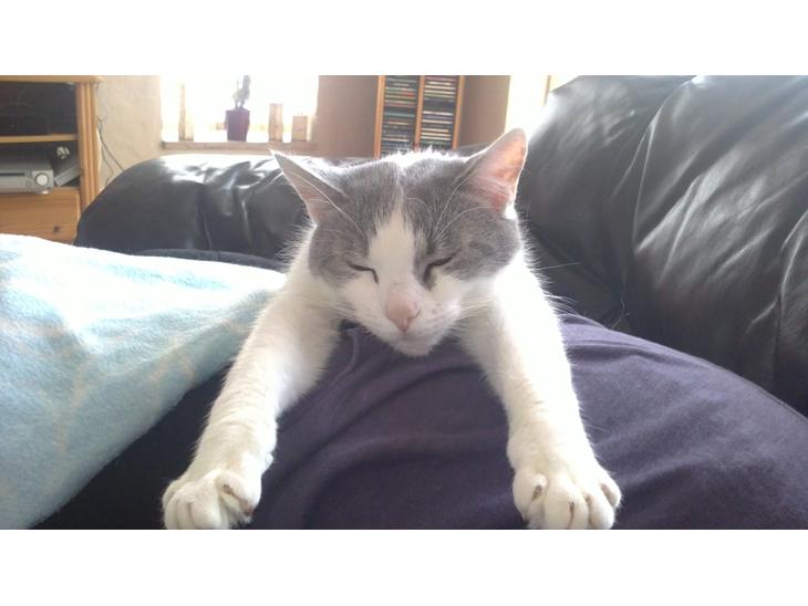 {{currentPhoto.altText}} billede {{currentPhoto.number}}