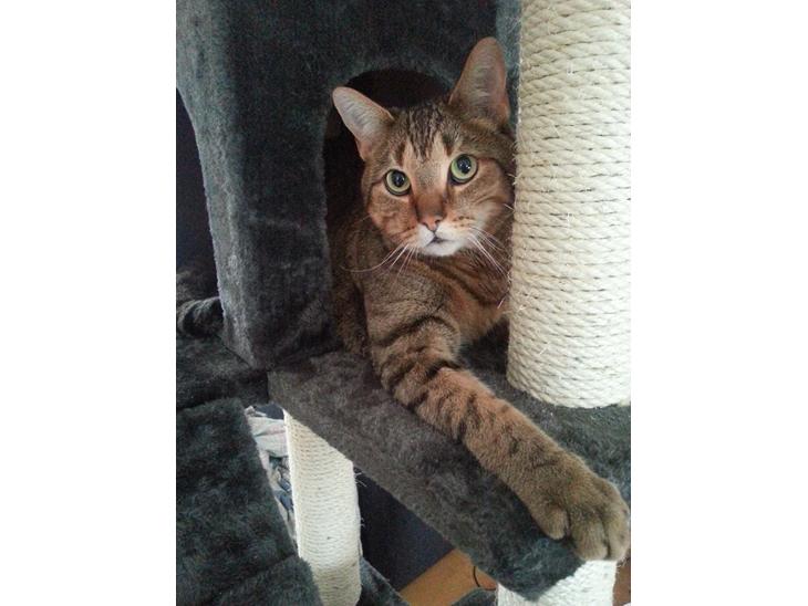 {{currentPhoto.altText}} billede {{currentPhoto.number}}