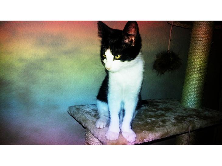 {{currentPhoto.altText}} billede {{currentPhoto.number}}