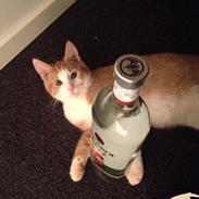 Huskat Jubas