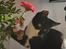 Huskat Phoebe - Velkommen til min profil. 
Smid gerne en kommentar og en bedømmelse :)
