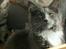 Maine Coon Lykkekatte´s Vanessa