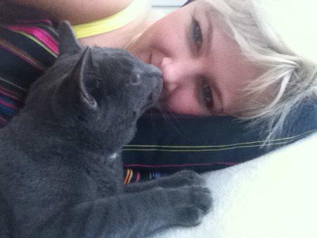 Huskat Sylvester - mysser <3 billede 7