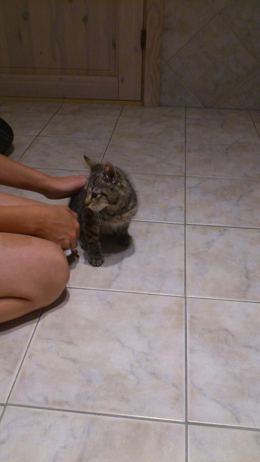 Huskat Tarzan billede 6