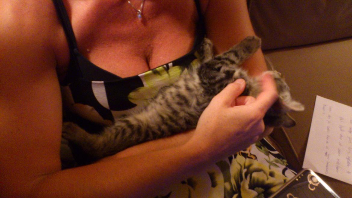 Huskat Tarzan billede 8