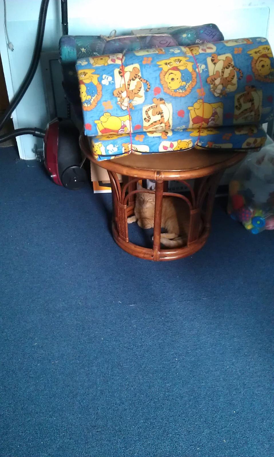 Huskat Guffe billede 13