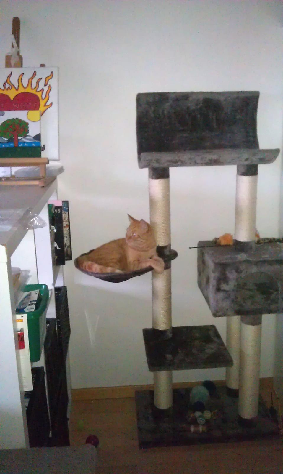 Huskat Guffe billede 20