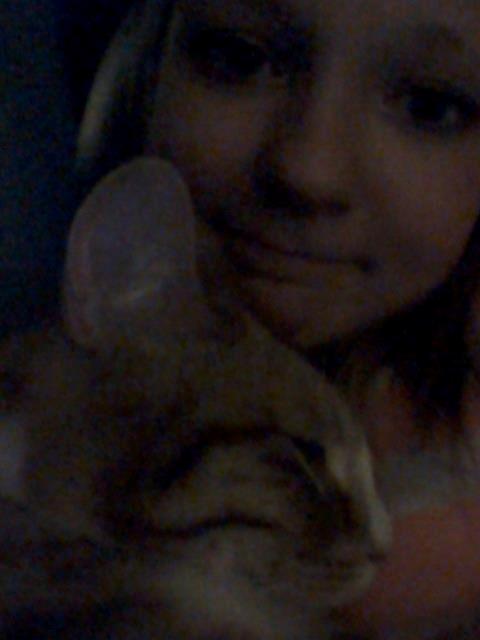 Blanding af racer Chili billede 17