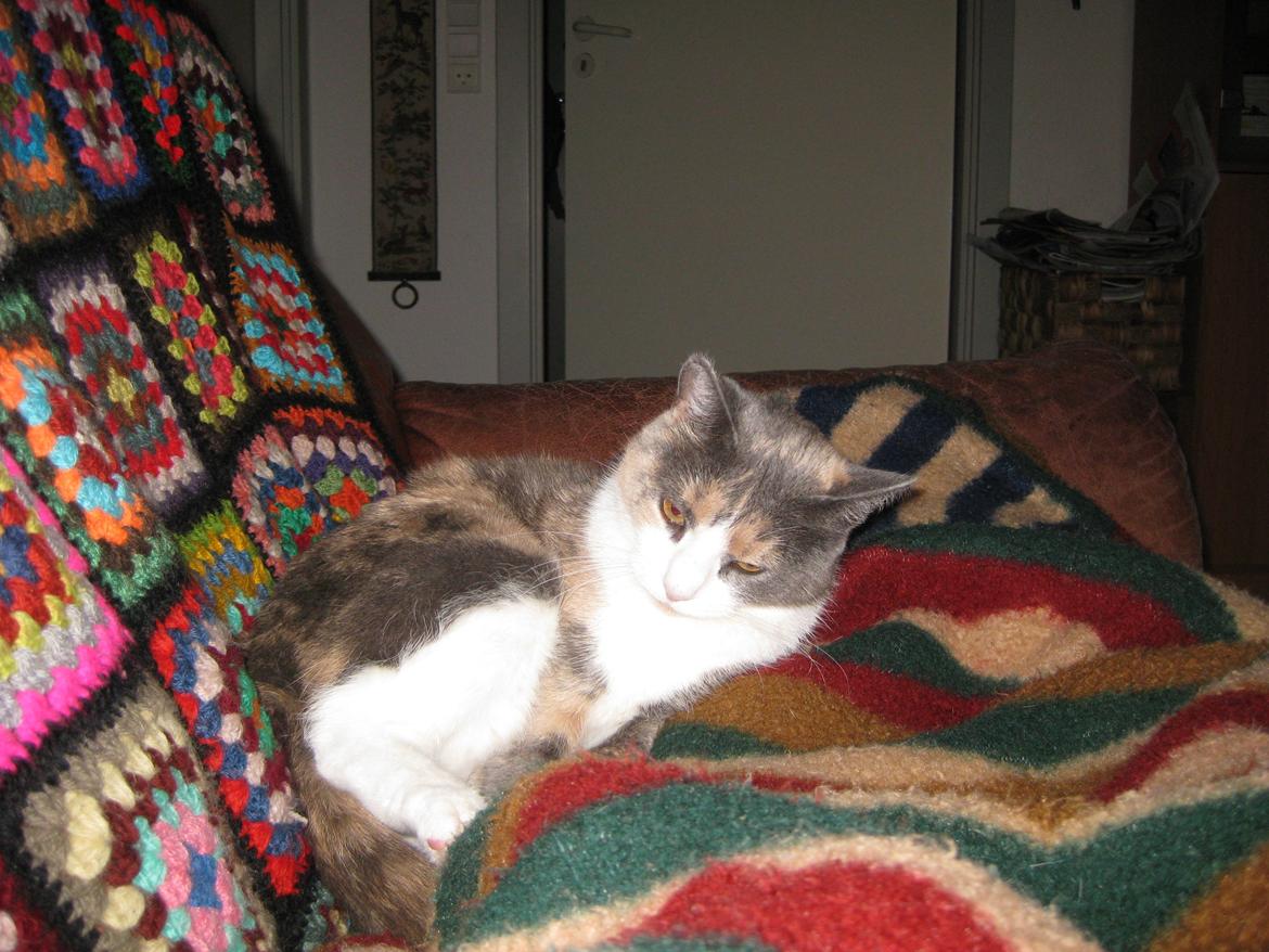 Huskat Kitty - Jeg eelsker diq!<3*-: billede 10