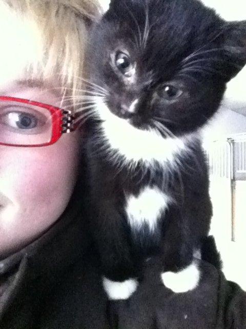 Huskat Ost<3 ( Sov sødt min lille engel:-( )*R.I.P* - Han sidder på min storesøsters skuller <3 billede 4