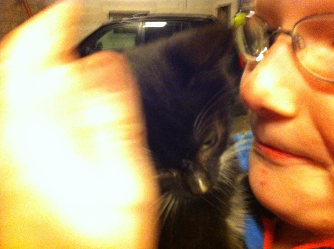 Huskat Ost<3 ( Sov sødt min lille engel:-( )*R.I.P* billede 8