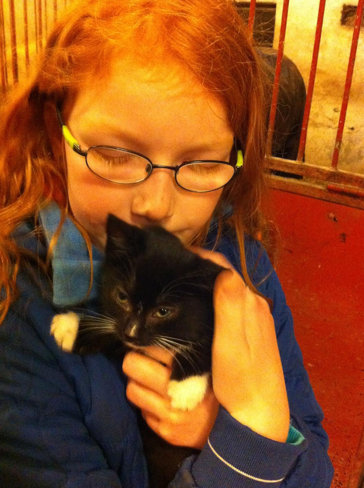 Huskat Ost<3 ( Sov sødt min lille engel:-( )*R.I.P* billede 9