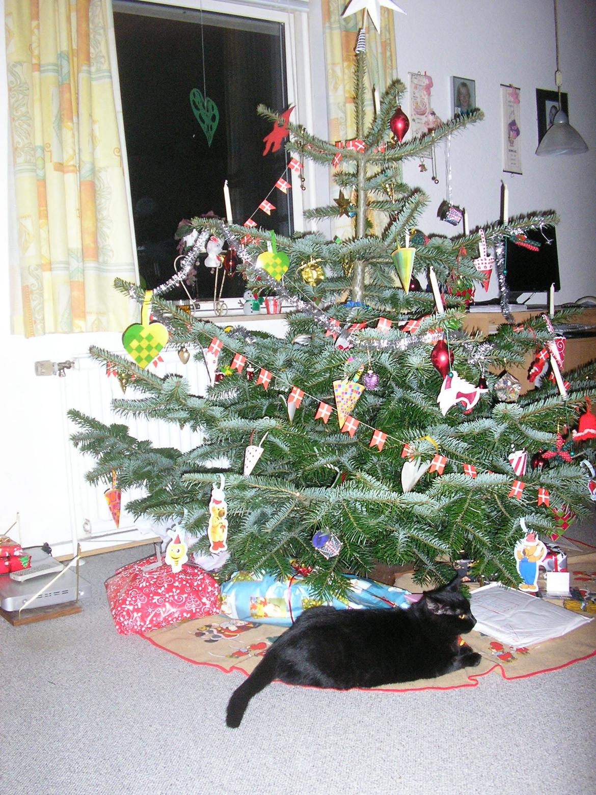 Huskat Luke (Lukee Boogie) - Juleaften :3 billede 10