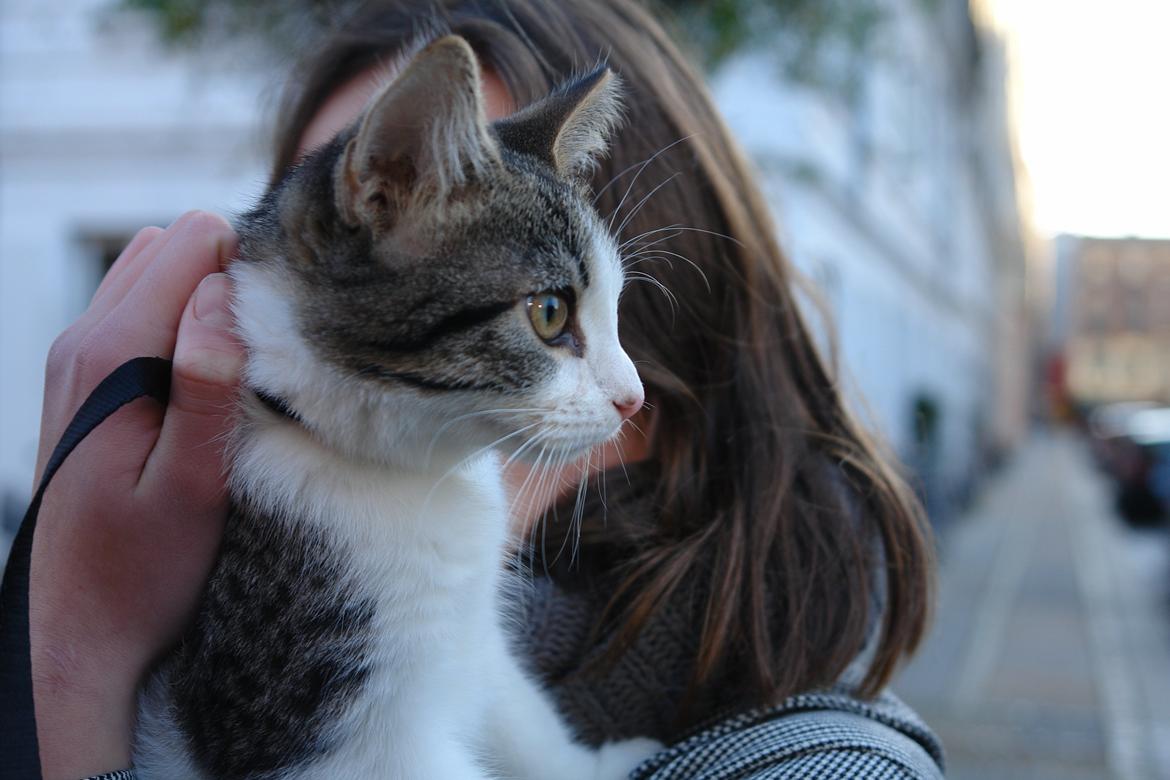 Huskat Kandy - Anna & Kandy!<3 billede 10