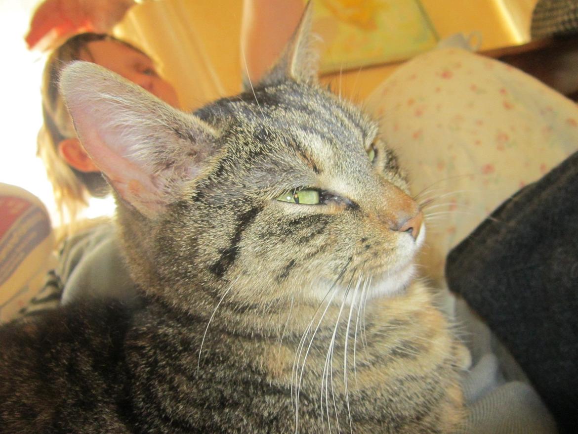 Huskat Ester billede 16