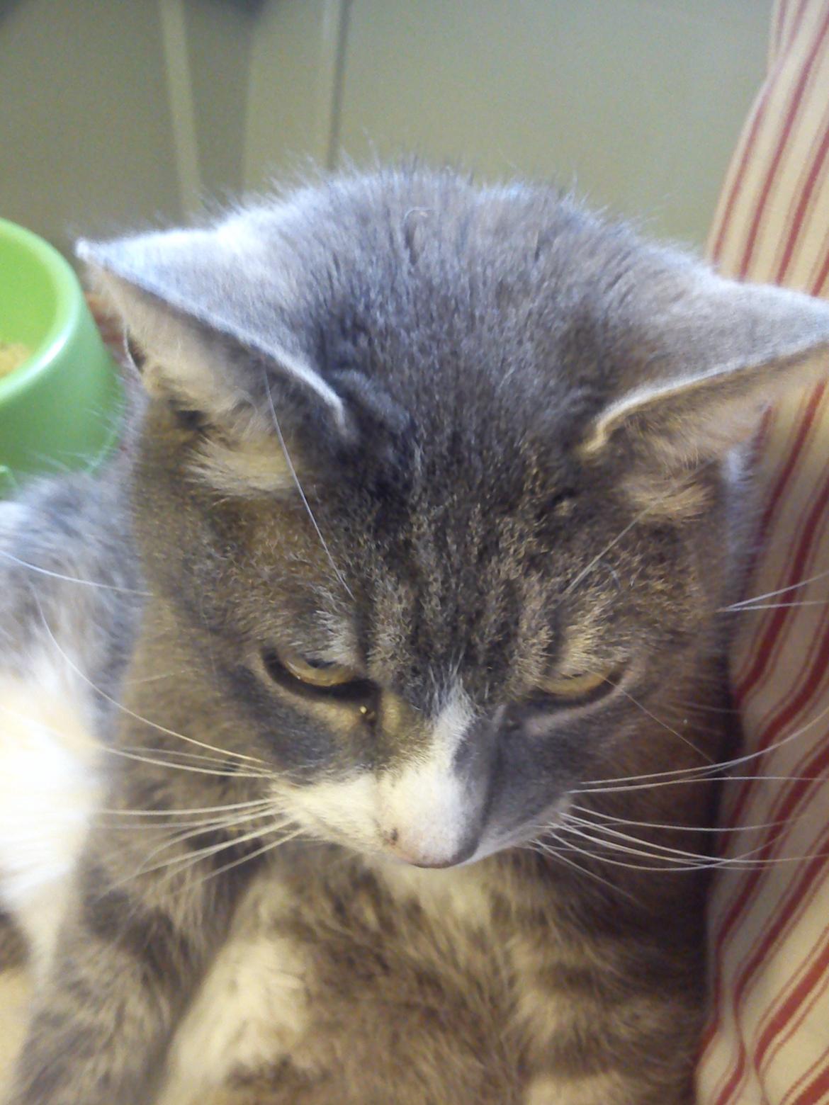 Huskat Caso Nowa - hvad er det der er der nede?? billede 5