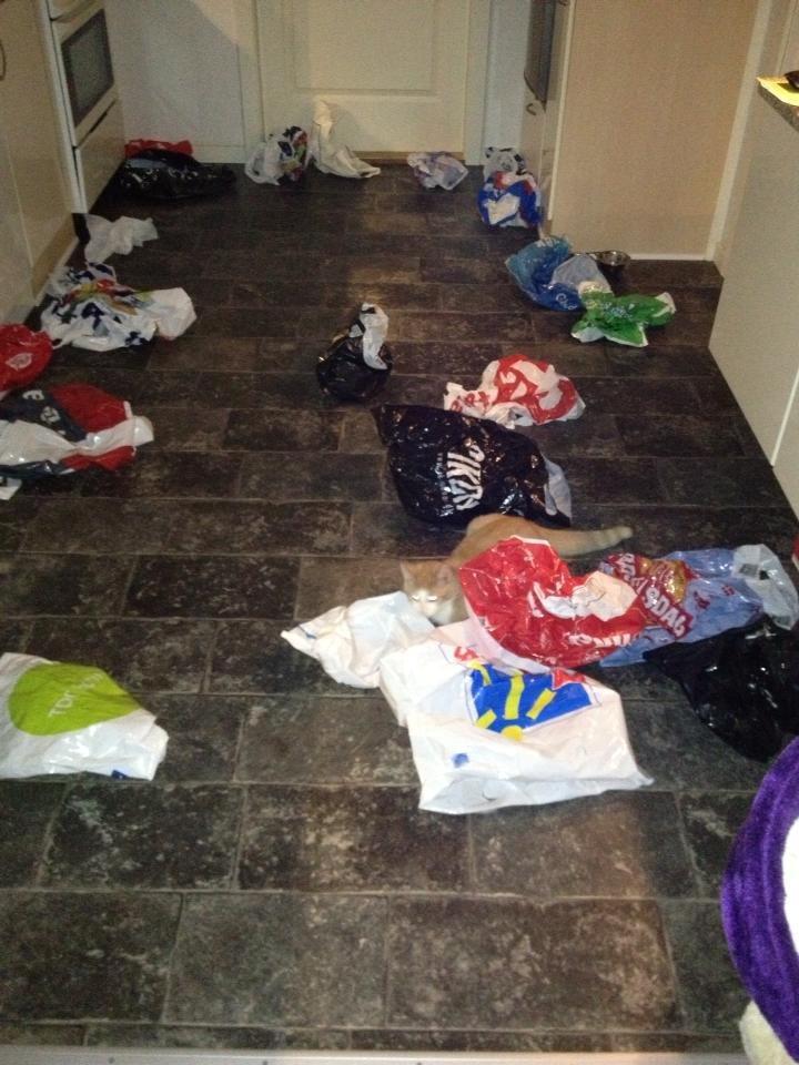 Huskat Jubas - jubas fandt da ud af at man kunne få alle poserne ud af skabet billede 7