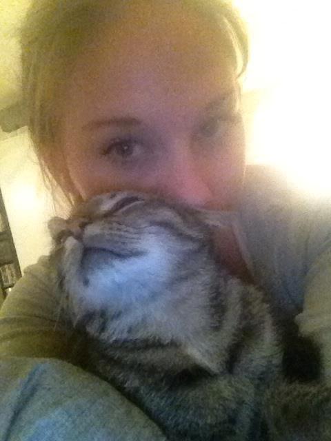 Blanding af racer Bailey billede 7