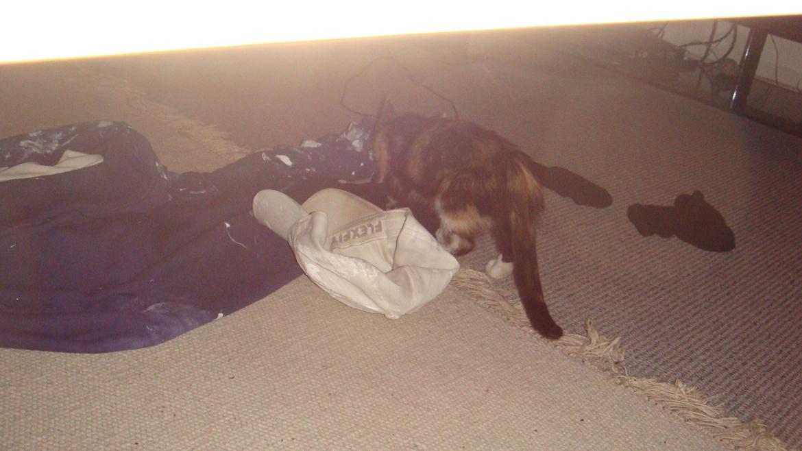 Huskat Bodil Kjær billede 11