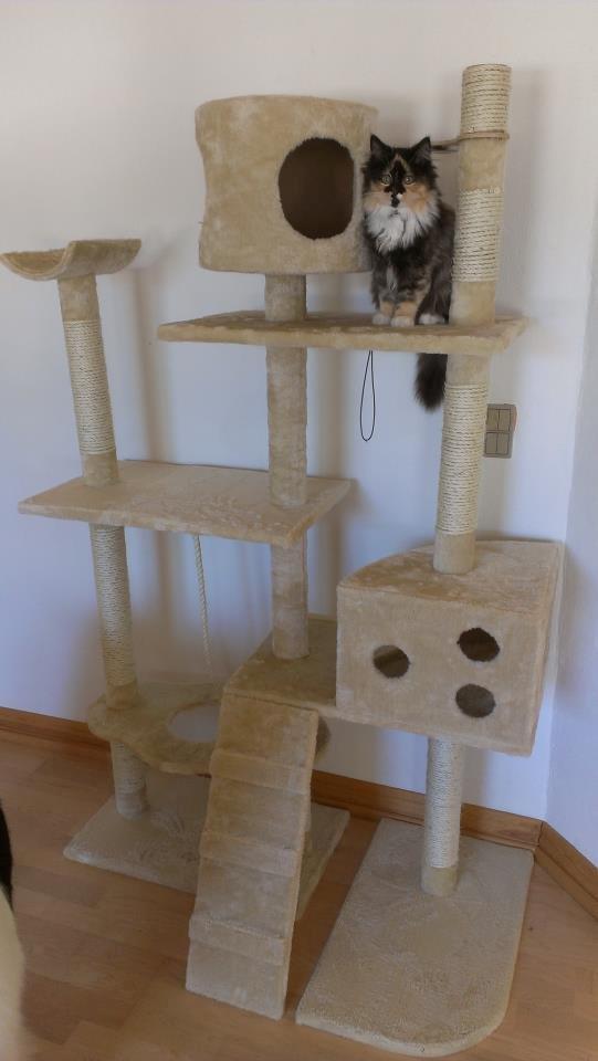 Blanding af racer Tessa - Tessas slot! (: billede 17