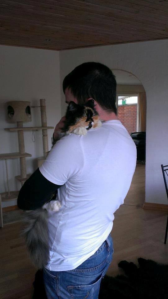 Blanding af racer Tessa - Yndlings måde at putte på! billede 9