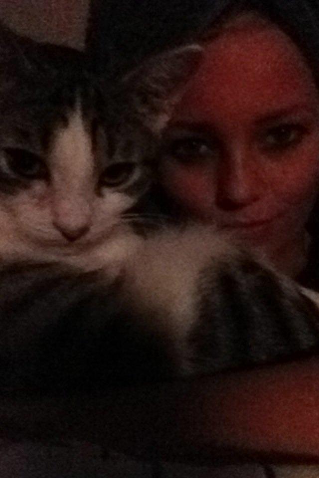 Huskat Yuppie billede 1