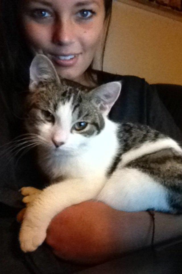 Huskat Yuppie billede 5