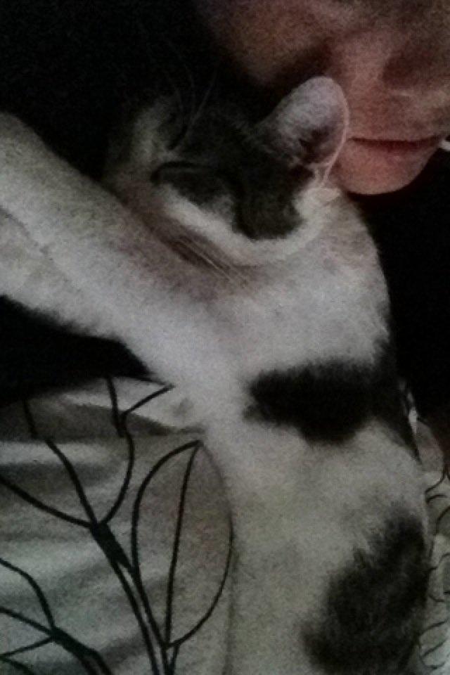 Huskat Yuppie billede 16