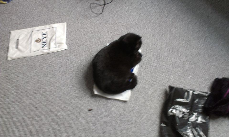 Huskat Tulle billede 11