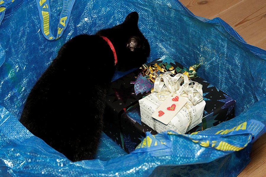 Blanding af racer Funder - Funder pakker gaver op! :) billede 12