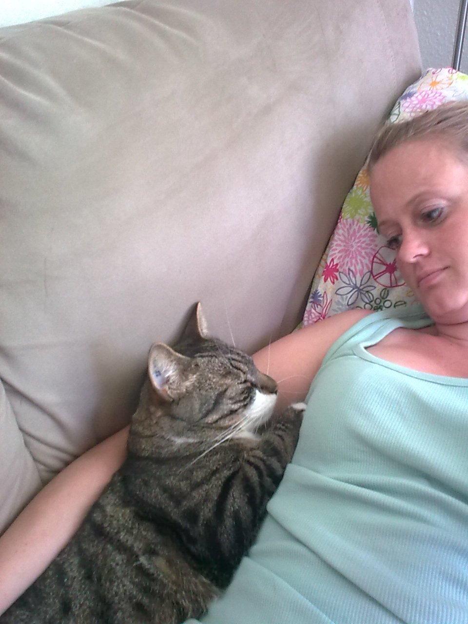 Huskat Bølle billede 13