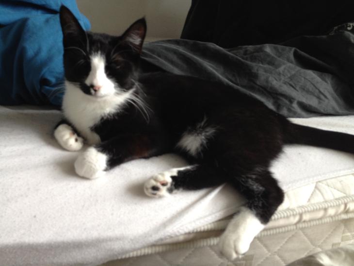 {{currentPhoto.altText}} billede {{currentPhoto.number}}