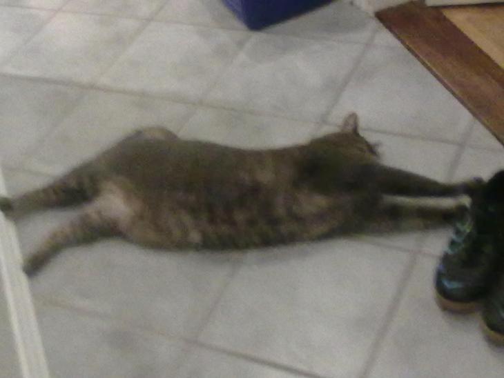 {{currentPhoto.altText}} billede {{currentPhoto.number}}