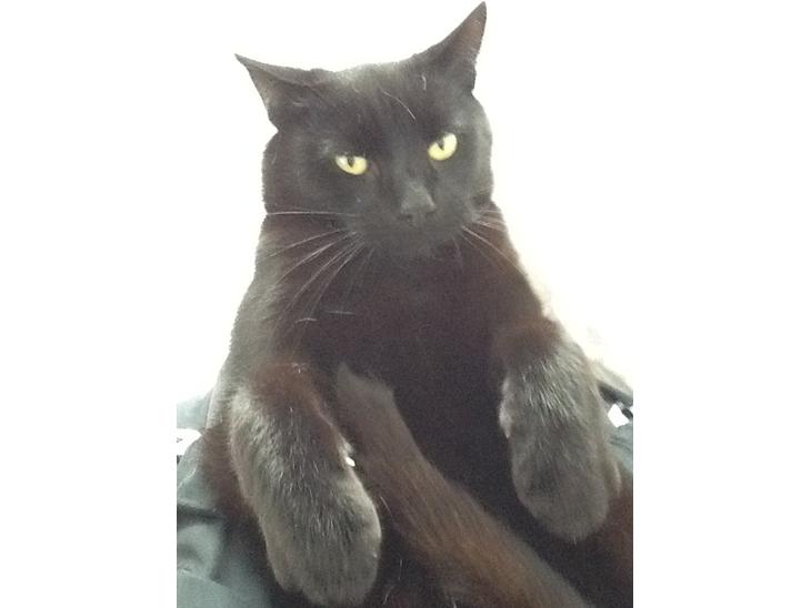 {{currentPhoto.altText}} billede {{currentPhoto.number}}